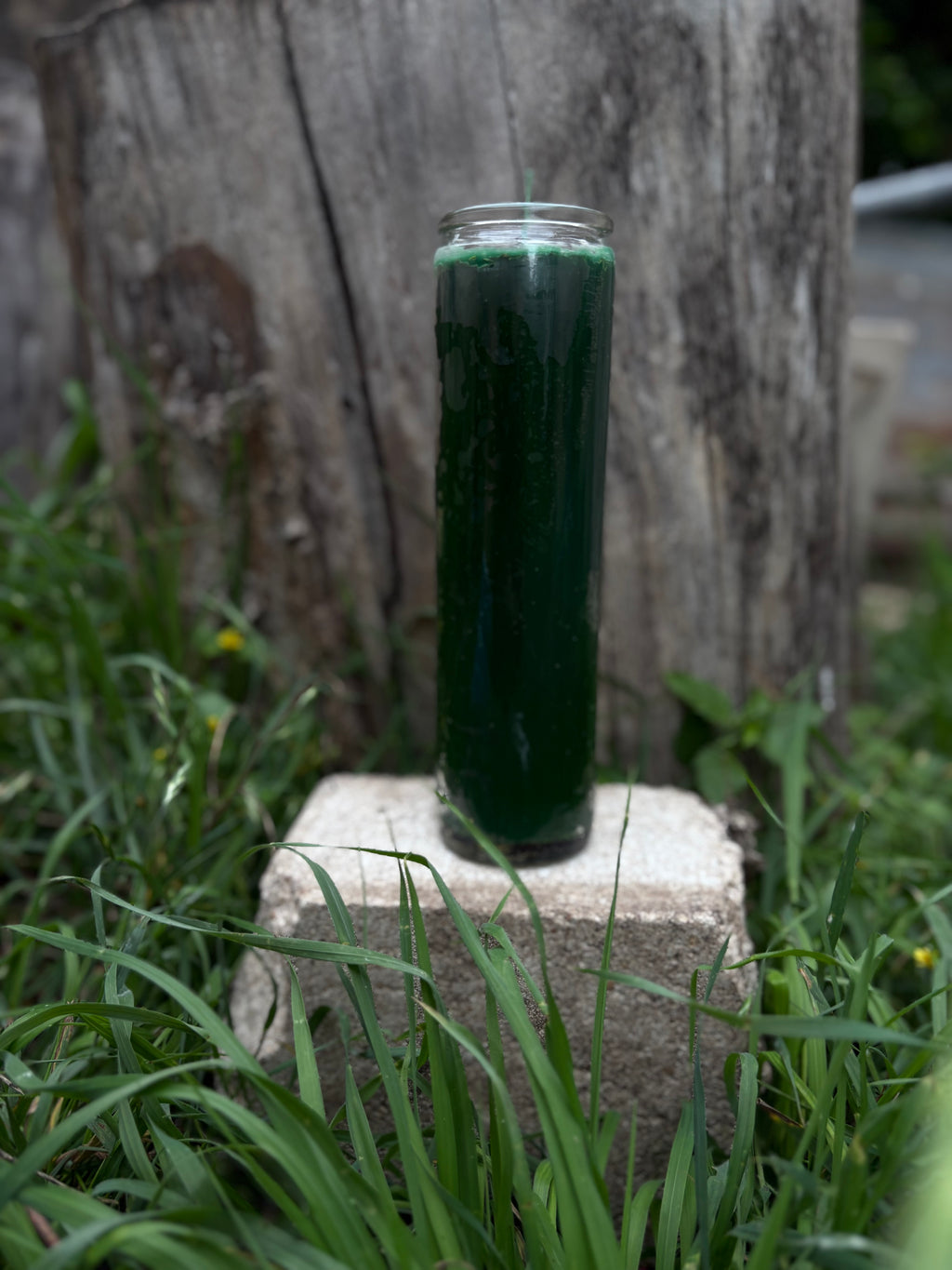 Dinero/Money Candle