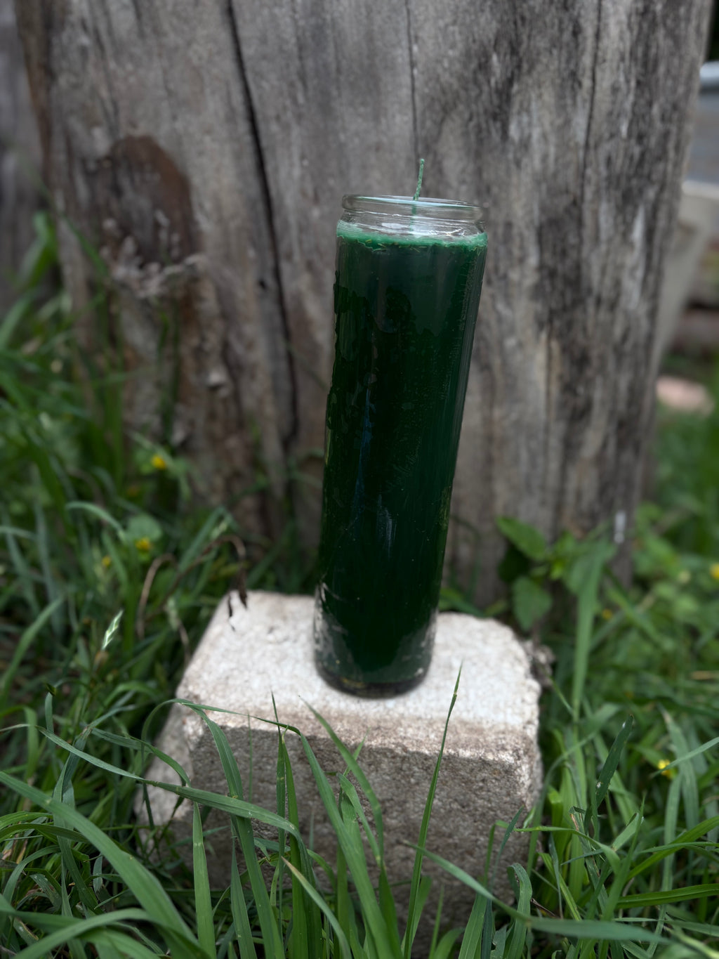 Dinero/Money Candle